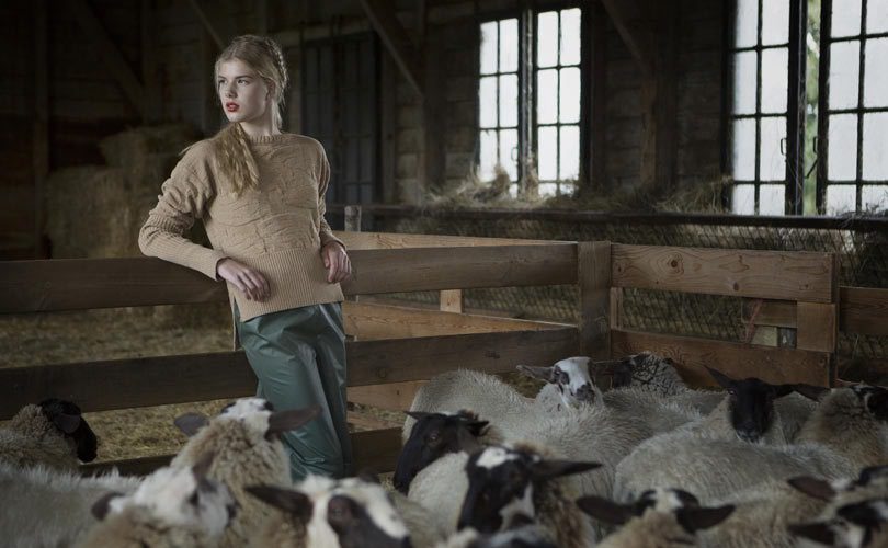 Wool2